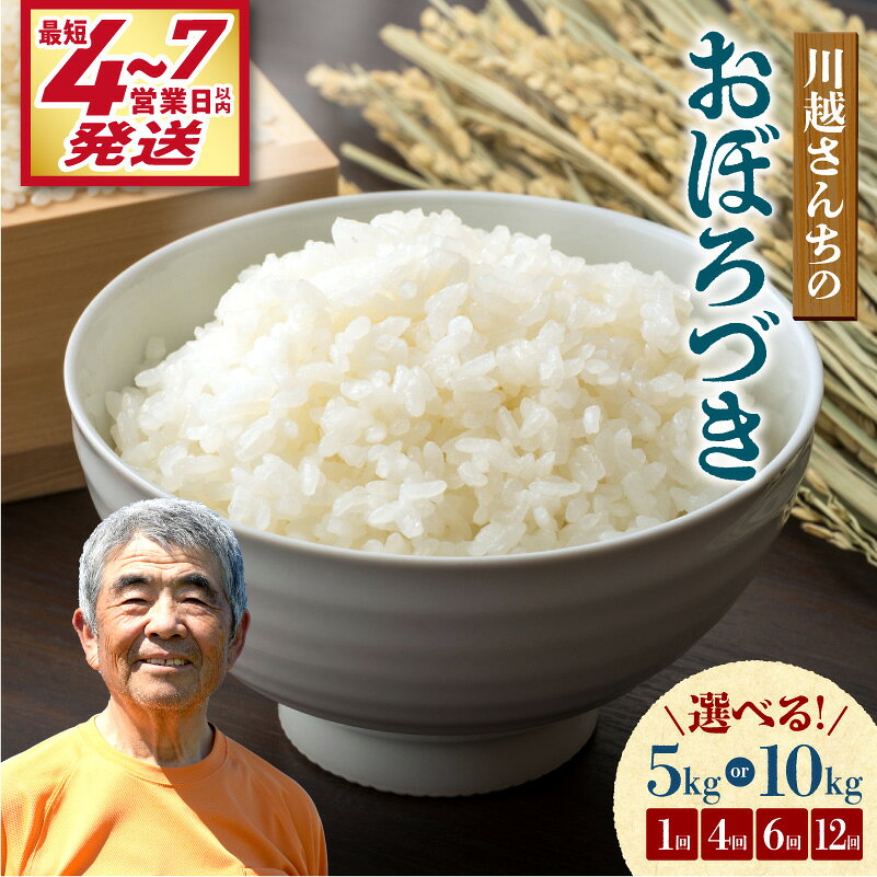 ＼ 最短4営業日以内発送～！ ／ 令和7年産 川越さんちのおぼろづき【 選べる！5kg or 10kg / 1回 ・ 4回 ・ 6回 ・ 12回 】 北海道産米 精米 白米 ごはん ブランド 定期便 米 もっちり やわらか おにぎり お弁当 バランスが良い 北海道 雨竜町 送料無料