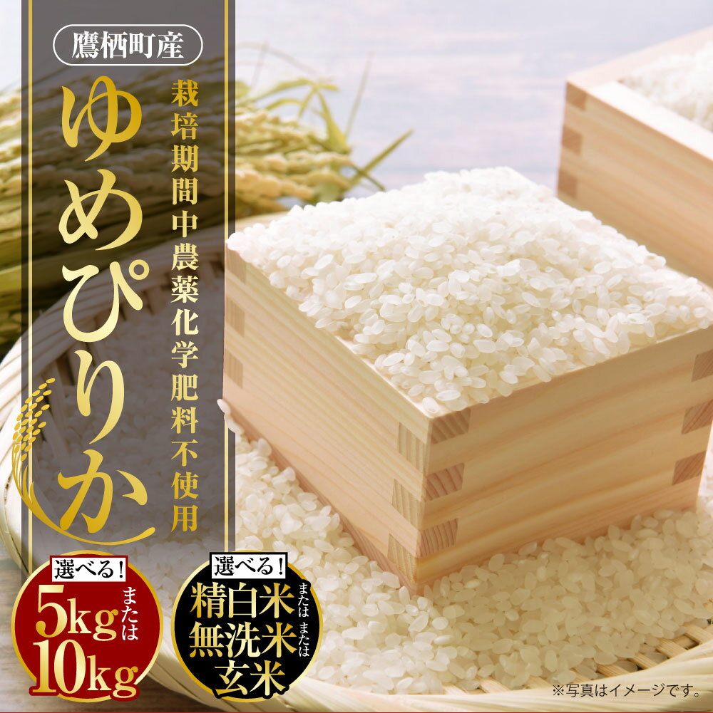【ふるさと納税】【令和7年産】ゆめぴりか（選べる 精白米 / 無洗米 / 玄米 / 5kg / 10kg（5kg×2袋））栽培期間中農薬化学肥料不使用 たかすタロファーム 北海道 鷹栖町 たかすタロファーム 米 コメ こめ ご飯 白米 お米 ゆめぴりか 送料無料 - 画像2