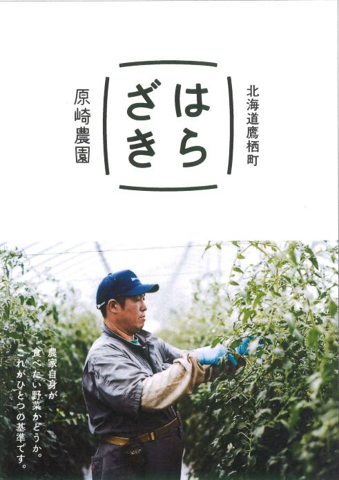 【ふるさと納税】【先行予約】夏限定お届け！フルーティな甘み！ロイシーコーン【北海道の白いとうもろこし】 （10本セット）北海道 鷹栖町 原崎農園 - 画像2