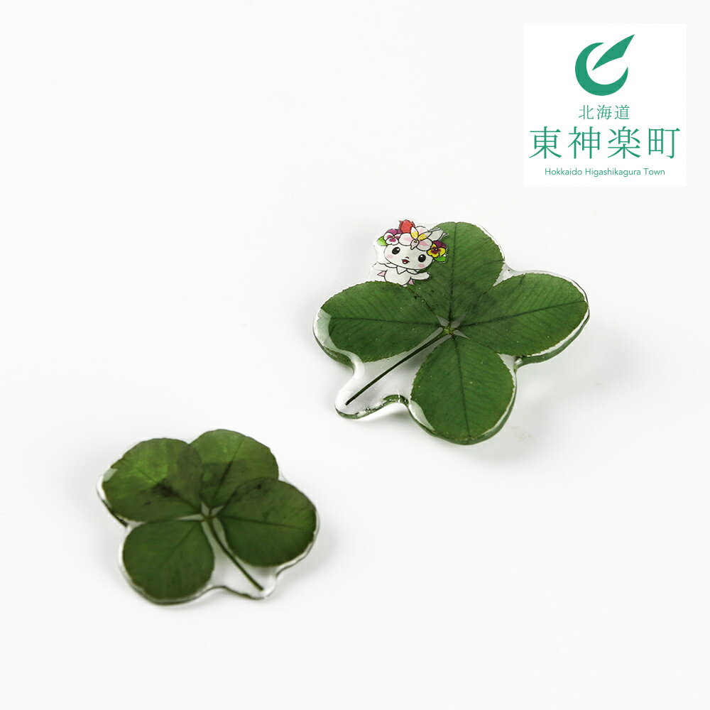 花の町 東神楽町から＜押し花ブローチ＞2個セット（夢花）東神楽町 ふるさと納税 北海道