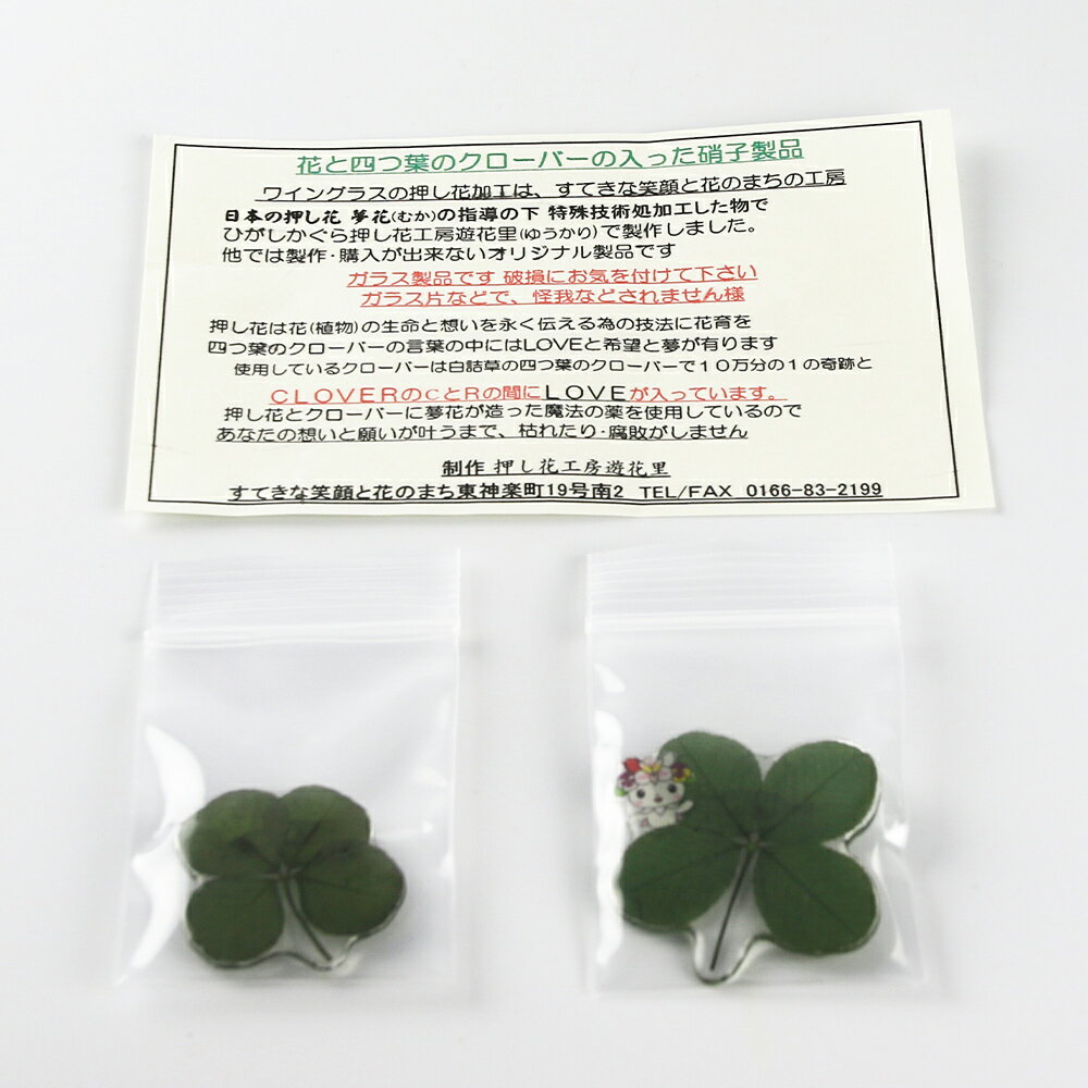 【ふるさと納税】 花の町 東神楽町から＜押し花ブローチ＞2個セット（夢花）東神楽町 ふるさと納税 北海道 サムネイル3