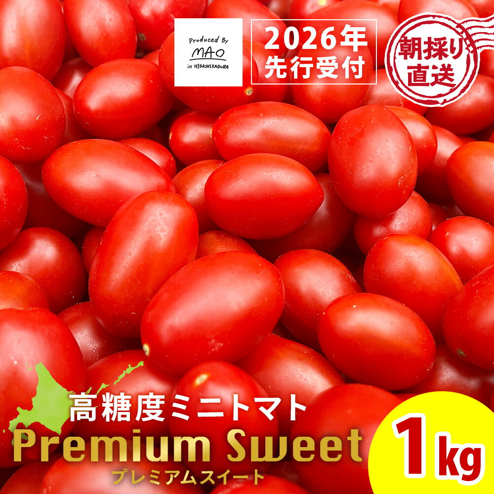 【2026年先行予約】 【朝採れ最短発送！】 Premium Sweet 1kg フルーツミニトマトミニトマト 朝採り 新鮮 生鮮 野菜 トマト ふるさと納税 北海道 東神楽