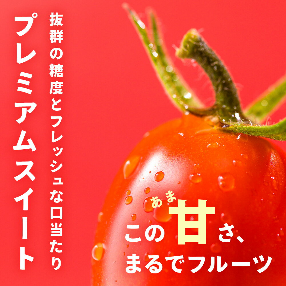 【ふるさと納税】【2026年先行予約】 【朝採れ最短発送！】 Premium Sweet 1kg フルーツミニトマトミニトマト 朝採り 新鮮 生鮮 野菜 トマト ふるさと納税 北海道 東神楽 - 画像2