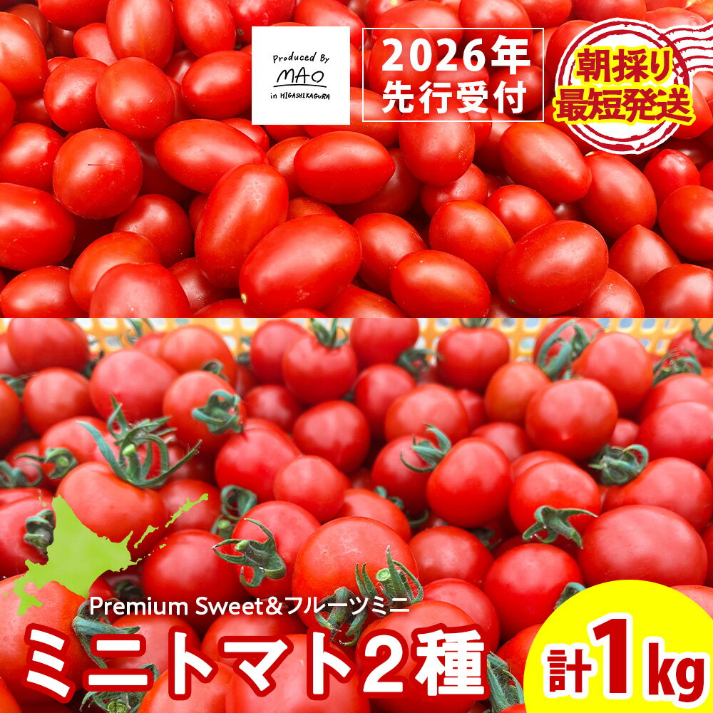 【2026年先行予約】朝採りPremium Sweet ＆フルーツミニ 計1kgミニトマト 朝採り 新鮮 生鮮 野菜 トマト ふるさと納税 北海道 東神楽