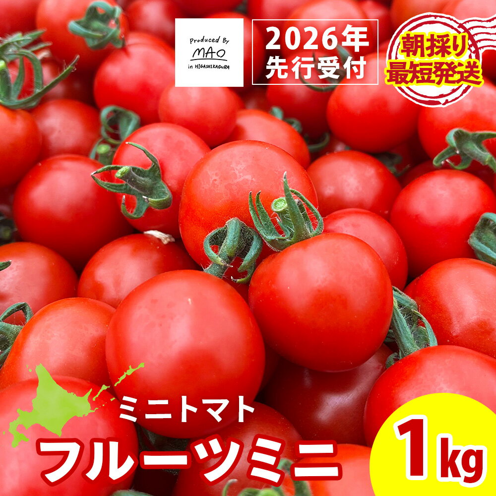 【2026年先行予約】 【朝採れ最短発送！】フルーツミニ ミニトマト1kgミニトマト 朝採り 新鮮 生鮮 野菜 トマト ふるさと納税 北海道 東神楽