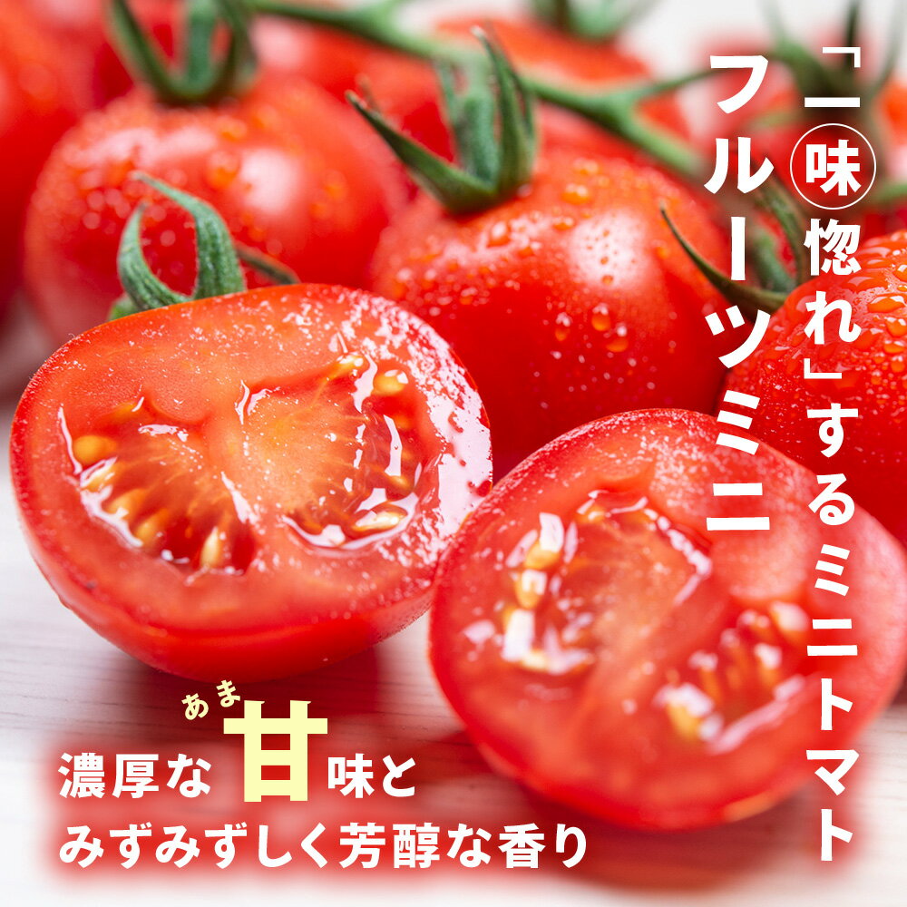 【ふるさと納税】【2026年先行予約】 【朝採れ最短発送！】フルーツミニ ミニトマト1kgミニトマト 朝採り 新鮮 生鮮 野菜 トマト ふるさと納税 北海道 東神楽 - 画像2
