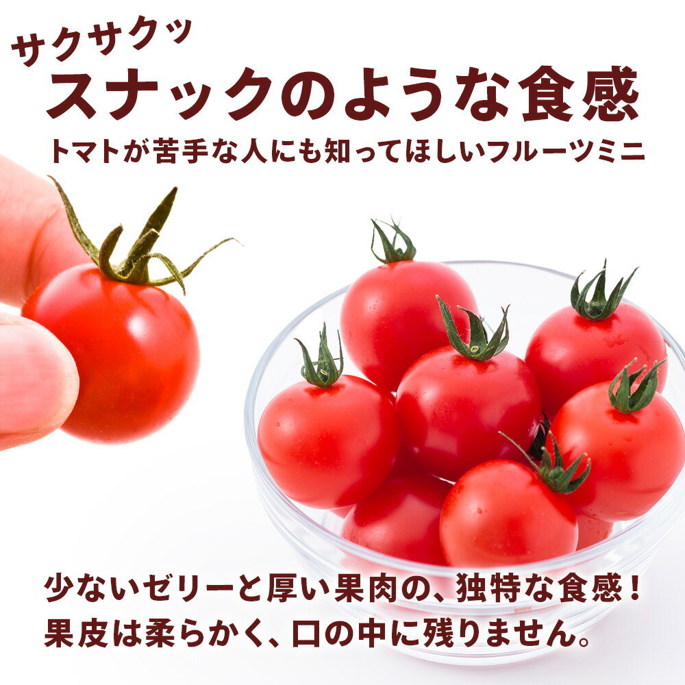 【ふるさと納税】【2026年先行予約】 【朝採れ最短発送！】フルーツミニ ミニトマト1kgミニトマト 朝採り 新鮮 生鮮 野菜 トマト ふるさと納税 北海道 東神楽 - 画像3