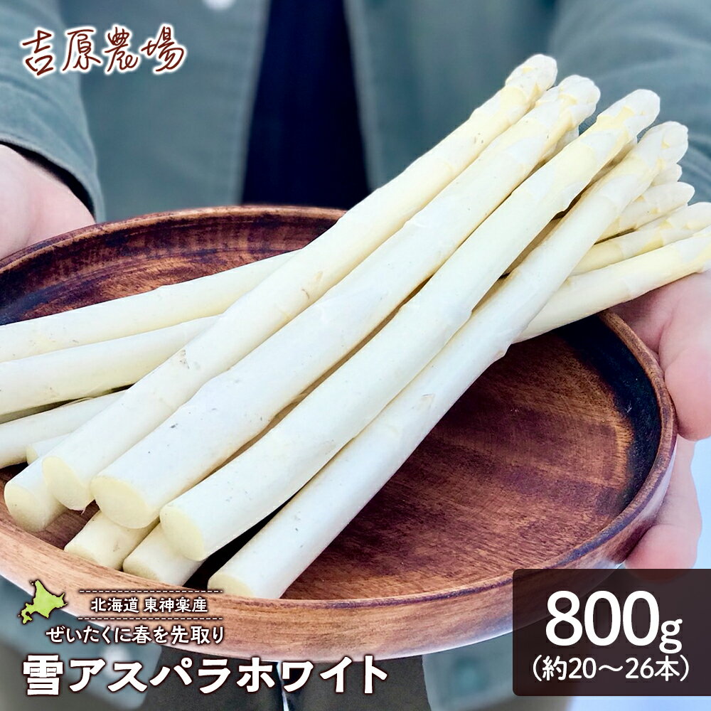 贅沢に春を先取り『雪アスパラホワイト』（800g）【北海道東神楽町】野菜 アスパラ アスパラガス ホワイトアスパラ アスパラホワイト 白 アスパラ 雪アスパラ ふるさと納税 北海道 東神楽