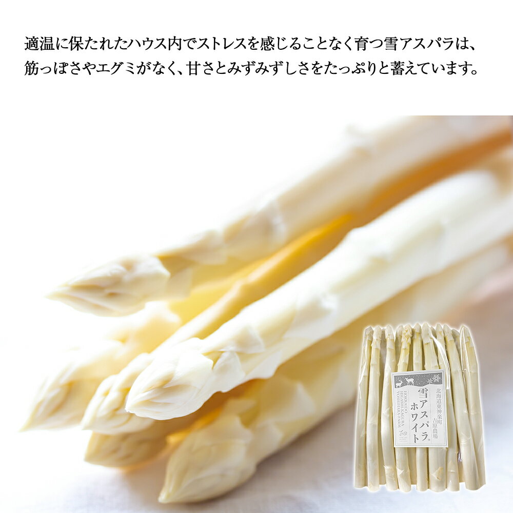 【ふるさと納税】贅沢に春を先取り『雪アスパラホワイト』（800g）【北海道東神楽町】野菜 アスパラ アスパラガス ホワイトアスパラ アスパラホワイト 白 アスパラ 雪アスパラ ふるさと納税 北海道 東神楽 - 画像3
