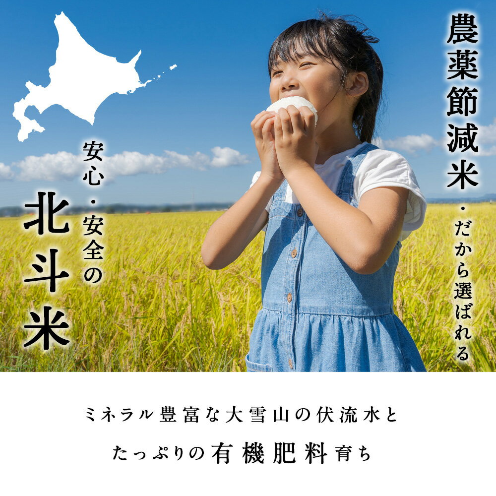 【ふるさと納税】【新米・令和7年産】 北斗米ななつぼし 選べる5kg〜10kgふるさと納税 お米 ふるさと納税 北海道米 北海道産お米 東神楽 ふるさと納税米 お米 柳沼 道産米 人気ブランド 米 こめ 夏ギフト サムネイル2