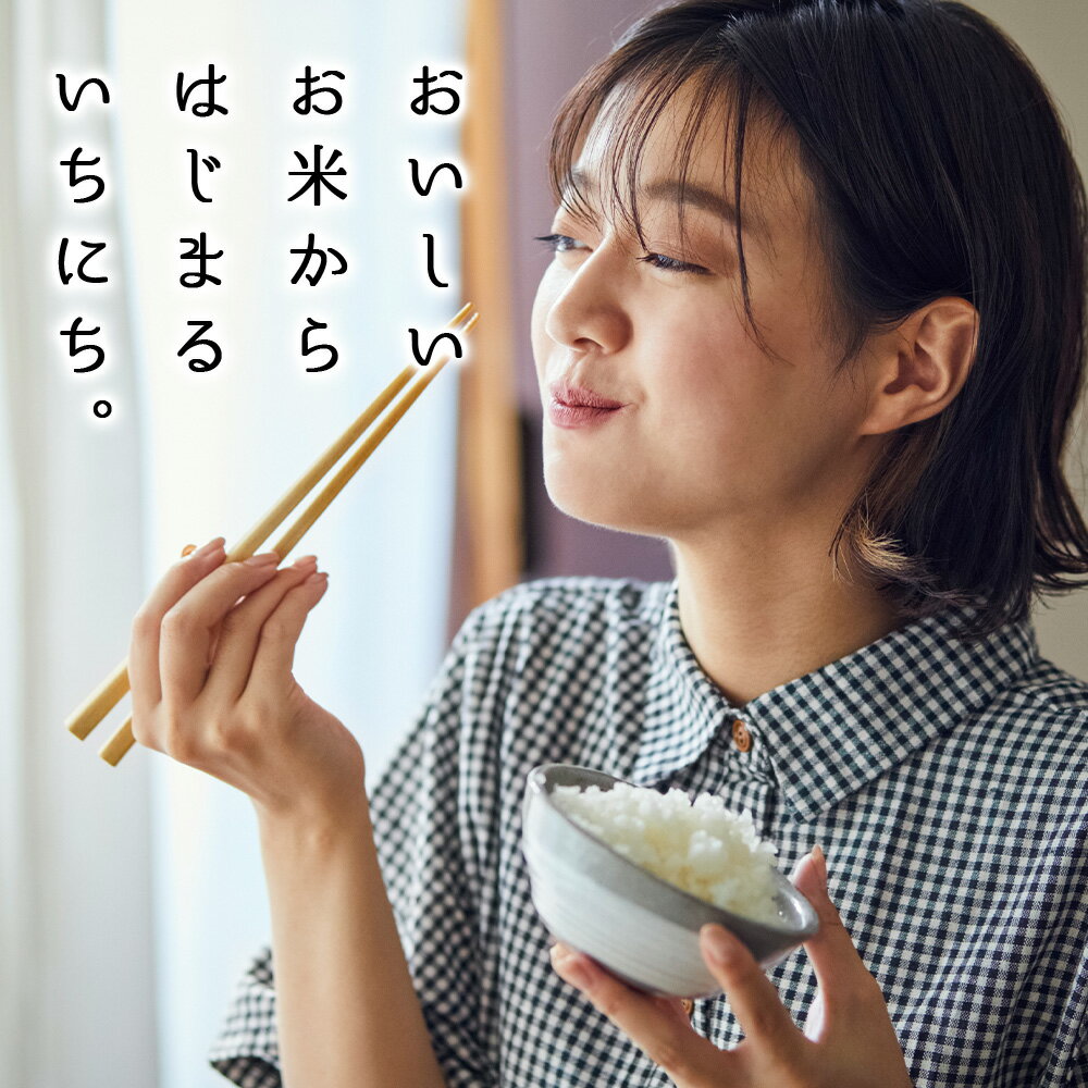 【ふるさと納税】令和7年産【お米の定期便】ななつぼし 2kg×2袋 《普通精米》 選べる定期便ふるさと納税 お米 ふるさと納税 北海道米 北海道産お米 東神楽 ふるさと納税米 お米 道産米 人気ブランド 米 こめ ななつぼし 精米 ふるさと納税 秋 旬 - 画像2