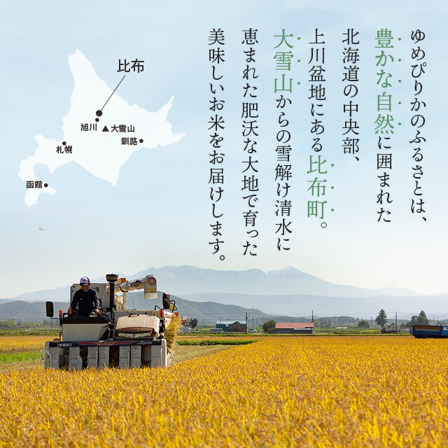 【ふるさと納税】 令和7年産 新米 ゆめぴりか 精米 5kg 10kg 20kg 【久保農園】 先行予約 容量・発送時期が選べる 米 お米 北海道産 北海道米 特Aランク 国産 白米 コメ 北海道 比布町 ぴっぷ サムネイル2