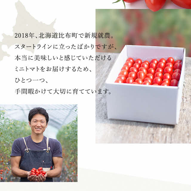 【ふるさと納税】＜2026年発送 先行予約＞金賞受賞 北海道フルーツミニトマト【ジェルバ】【Farm of Soul】容量が選べる 1.2kg 2.5kg 2023野菜ソムリエサミット金賞 先行受付 トマト とまと ミニトマト 野菜 高糖度 甘い 北海道 比布町 ぴっぷ 1010-001 - 画像3