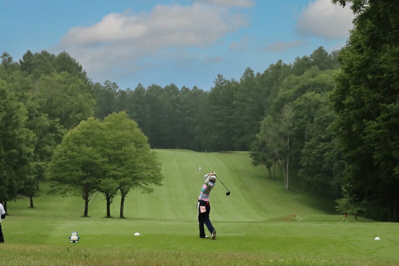 【ふるさと納税】旭川国際カントリークラブ 土日祝日 1ラウンド券 ゴルフ ゴルフ場利用券 北海道 愛別町 - 画像2