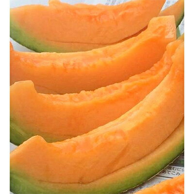 【ふるさと納税】【2026年夏発送】岸田農園産 北海道メロン 2玉入り(サイズ:1玉1.8kg以上)【201】【1087001】 サムネイル2