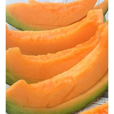 特大サイズ【2026年夏発送】岸田農園産北海道メロン2玉入り(サイズ:1玉2.5kg以上)【213】【1311818】