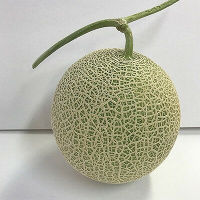 【ふるさと納税】特大サイズ【2026年夏発送】岸田農園産北海道メロン2玉入り(サイズ:1玉2.5kg以上)【213】【1311818】 サムネイル3