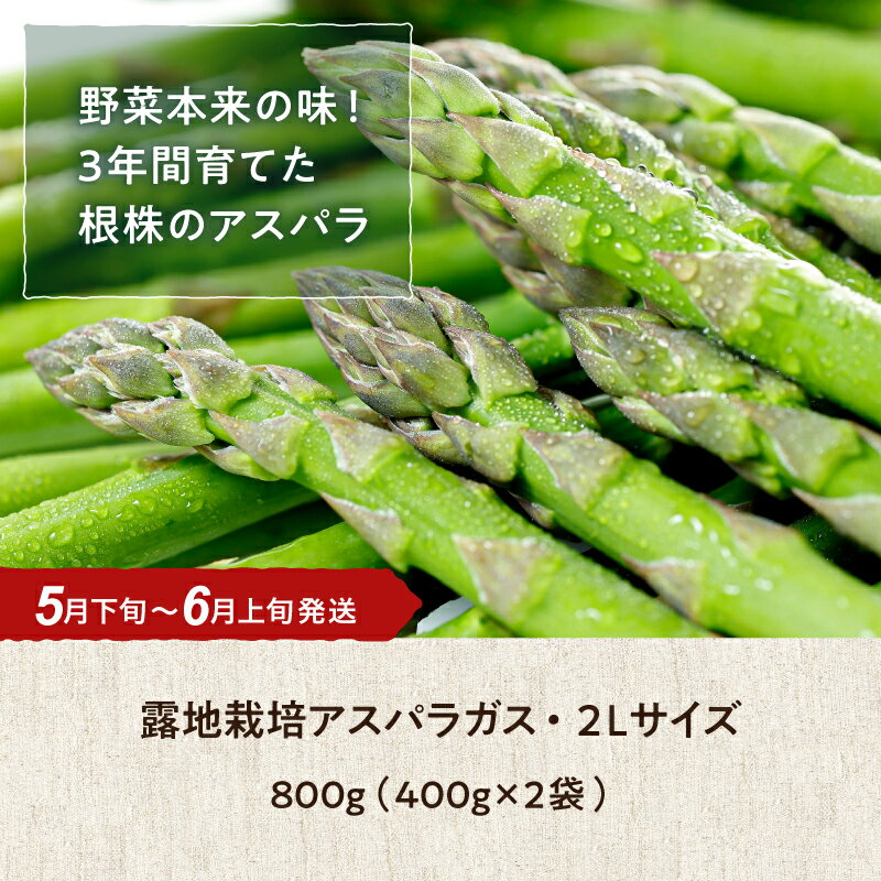 【ふるさと納税】【5月下旬～6月上旬発送】旬の採れたて野菜「アスパラガス」 - 画像2