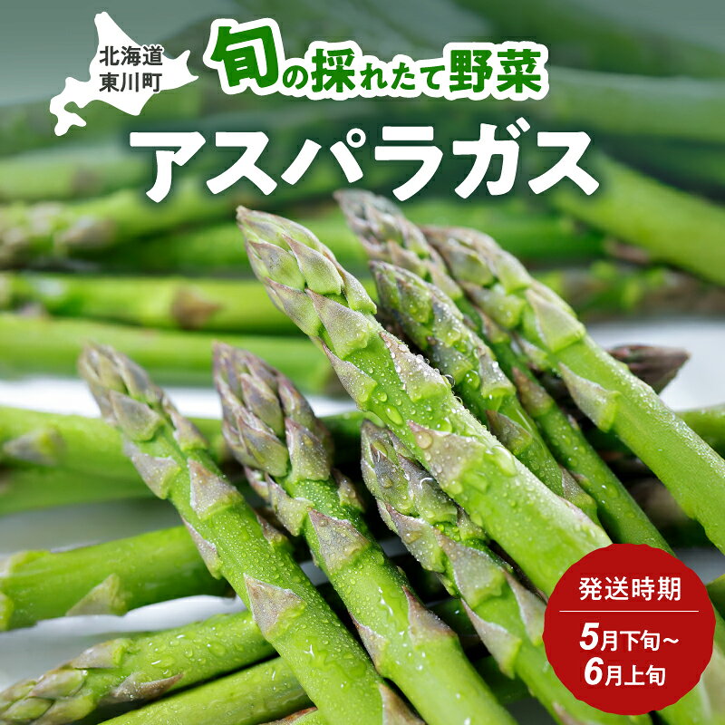 【5月下旬～6月上旬発送】旬の採れたて野菜「アスパラガス」