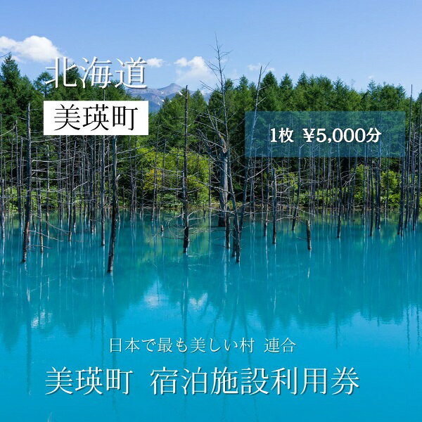美瑛町宿泊施設利用券 ペンション ホテル 民宿 宿 宿泊 ホテル ギフト券 北海道 美瑛町 旅館 コンドミニアム コテージ ヴィラ 宿泊施設 便利 おすすめ 人気 送料無料