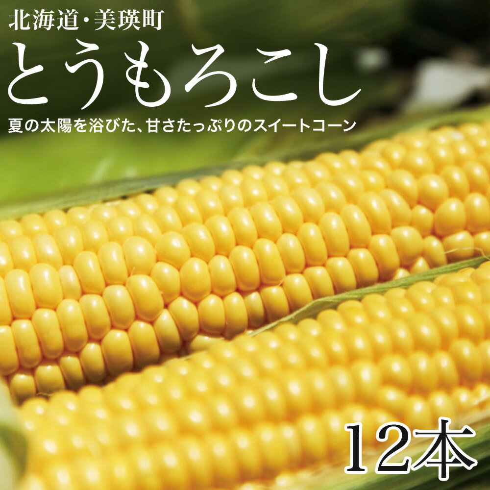 ≪令和8年産予約受付！≫ とうもろこし 北海道 スイートコーン (黄12本) 美瑛選果 とうきび 夏野菜 美瑛産 北海道産 北海道産とうもろこし [013-91]