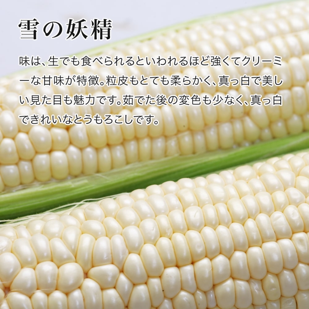 【ふるさと納税】【令和8年産予約受付！】 とうもろこし （ほしつぶコーン＆ 雪の妖精）各6本 計12本 各10本 計20本 [ 5kg 以上] 詰め合せ 食べ比べ 野菜 送料無料 北海道 スイートコーン とうきび 北海道美瑛 北海道美瑛町 美瑛町 美瑛 北海道産 美瑛産 黒木農場 [014-78] - 画像2