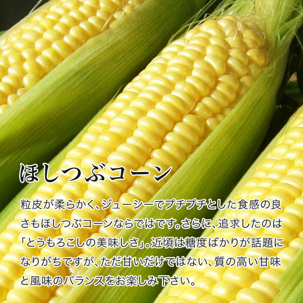 【ふるさと納税】【令和8年産予約受付！】とうもろこし（ほしつぶコーン）8本 12本 20本 野菜　送料無料 北海道 北海道美瑛 北海道美瑛町 美瑛町 美瑛 北海道産 美瑛産 スイートコーン [ 5kg 以上] とうきび 黒木農場[009-32] - 画像2