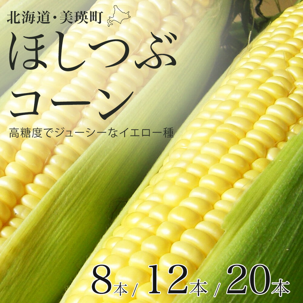 【令和8年産予約受付！】とうもろこし（ほしつぶコーン）8本 12本 20本 野菜　送料無料 北海道 北海道美瑛 北海道美瑛町 美瑛町 美瑛 北海道産 美瑛産 スイートコーン [ 5kg 以上] とうきび 黒木農場[009-32]