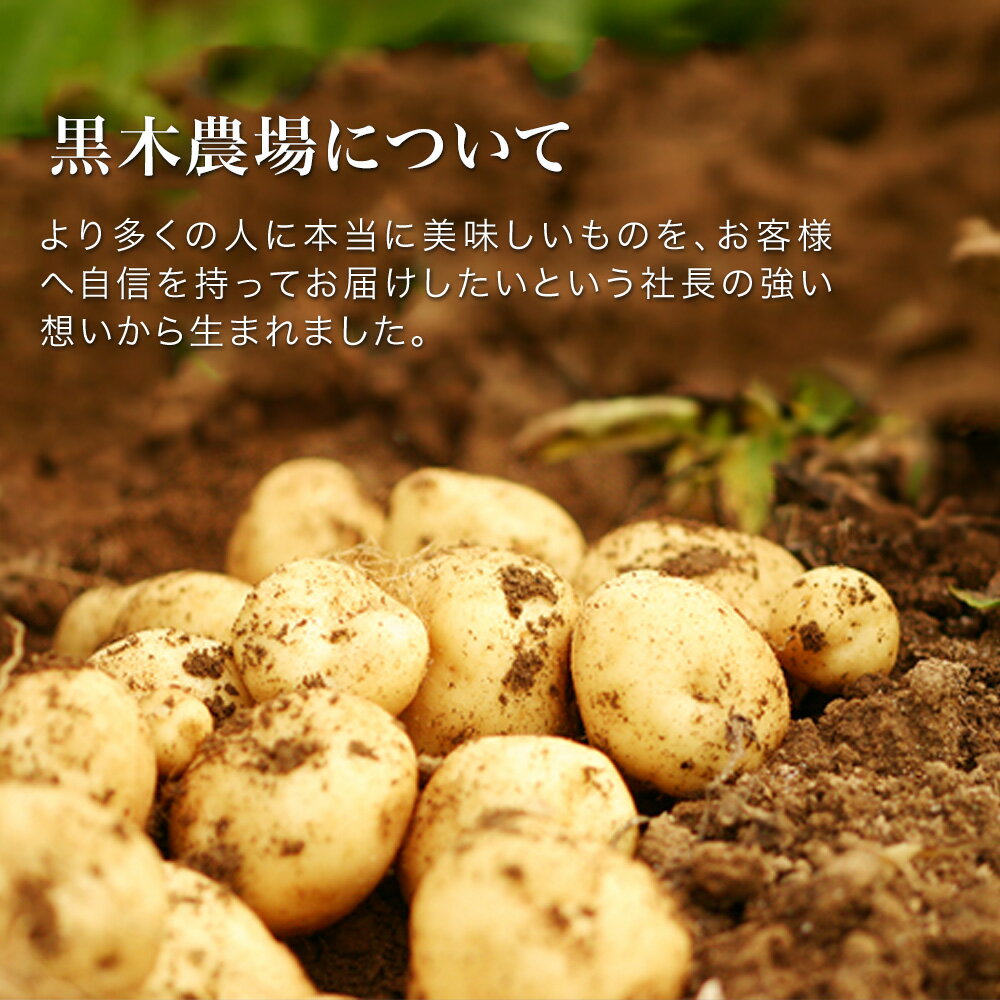 【ふるさと納税】【先行予約】じゃがいも（男爵・北あかり）5kg 10kg ≪令和8年産≫黒木農場 | 人気 おすすめ ランキング いも 芋 イモ じゃがいも ジャガイモ 男爵 北あかり きたあかり キタアカリ 北海道 野菜　[006-27] - 画像3