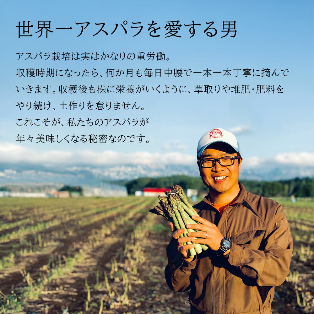 【ふるさと納税】幻のアスパラ 1kg 2kg【予約受付！】令和8年産 送料無料！美瑛町 本山農場のラスノーブル（グリーンアスパラ）2S〜2Lサイズ 訳あり 野菜 送料無料 北海道美瑛 北海道 美瑛町 アスパラ アスパラガス 美瑛産アスパラガス 北海道産 美瑛産[010-201] サムネイル3