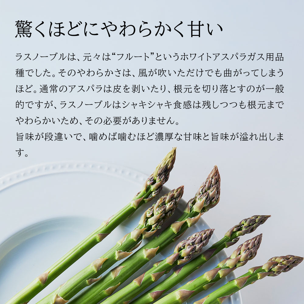 【ふるさと納税】幻のアスパラ 1kg 2kg【予約受付！】令和8年産 送料無料！美瑛町 本山農場のラスノーブル（グリーンアスパラ）2S〜2Lサイズ 訳あり 野菜 送料無料 北海道美瑛 北海道 美瑛町 アスパラ アスパラガス 美瑛産アスパラガス 北海道産 美瑛産[010-201] サムネイル2