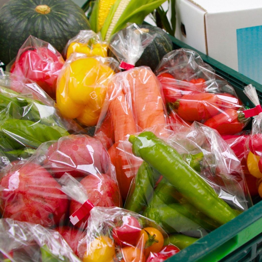 【ふるさと納税】≪令和8年産予約受付！≫夏 野菜 セット 詰め合わせ 美瑛 北海道 北海道美瑛　北海道美瑛町 美瑛町 美瑛 北海道産 美瑛産 トマト パプリカ にんじん スイートコーン とうもろこし とうきび 野菜 送料無料 美景農園[019-70] - 画像2