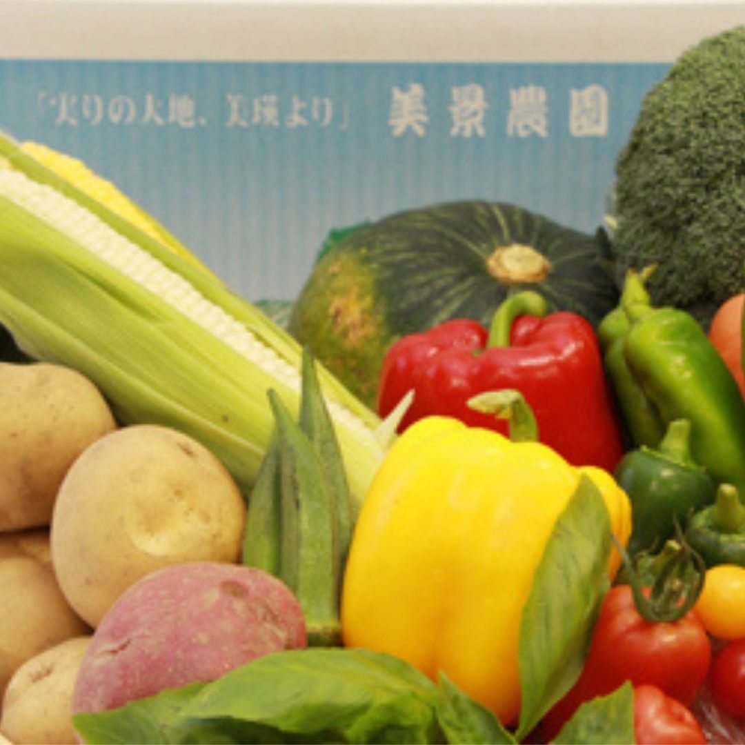 【ふるさと納税】≪令和8年産予約受付！≫夏 野菜 セット 詰め合わせ 美瑛 北海道 北海道美瑛　北海道美瑛町 美瑛町 美瑛 北海道産 美瑛産 トマト パプリカ にんじん スイートコーン とうもろこし とうきび 野菜 送料無料 美景農園[019-70] - 画像3