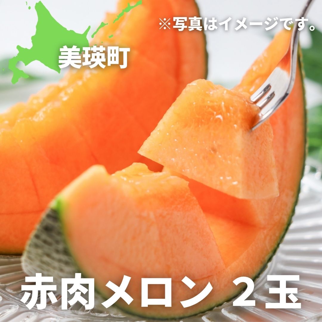 ≪令和8年産予約受付！≫ 赤肉 メロン 2玉 北海道 北海道美瑛 北海道美瑛町　美瑛町　美瑛 メロン スイーツ 果物 野菜 送料無料 美景農園[020-95]