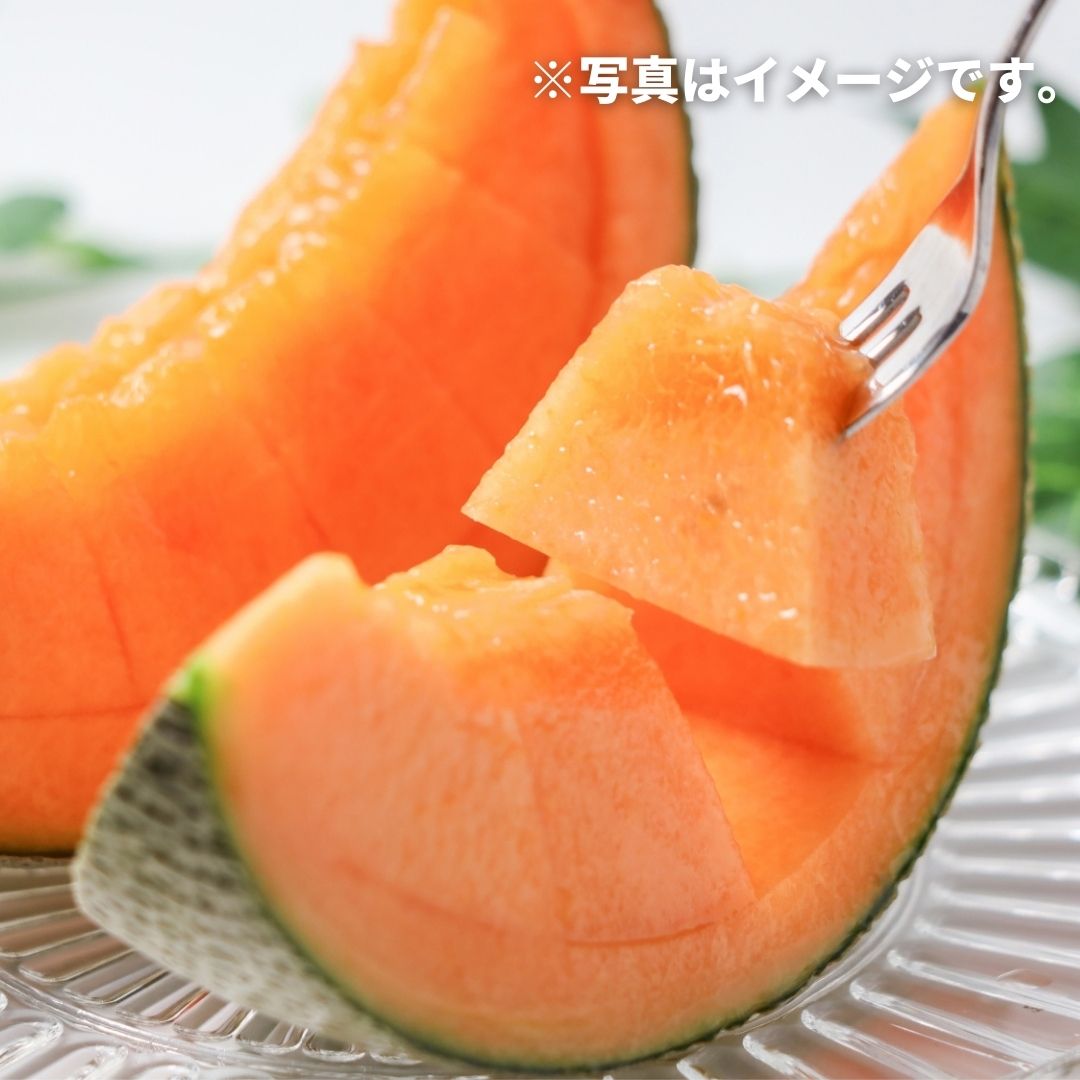 【ふるさと納税】≪令和8年産予約受付！≫ 赤肉 メロン 2玉 北海道 北海道美瑛 北海道美瑛町　美瑛町　美瑛 メロン スイーツ 果物 野菜 送料無料 美景農園[020-95] サムネイル2