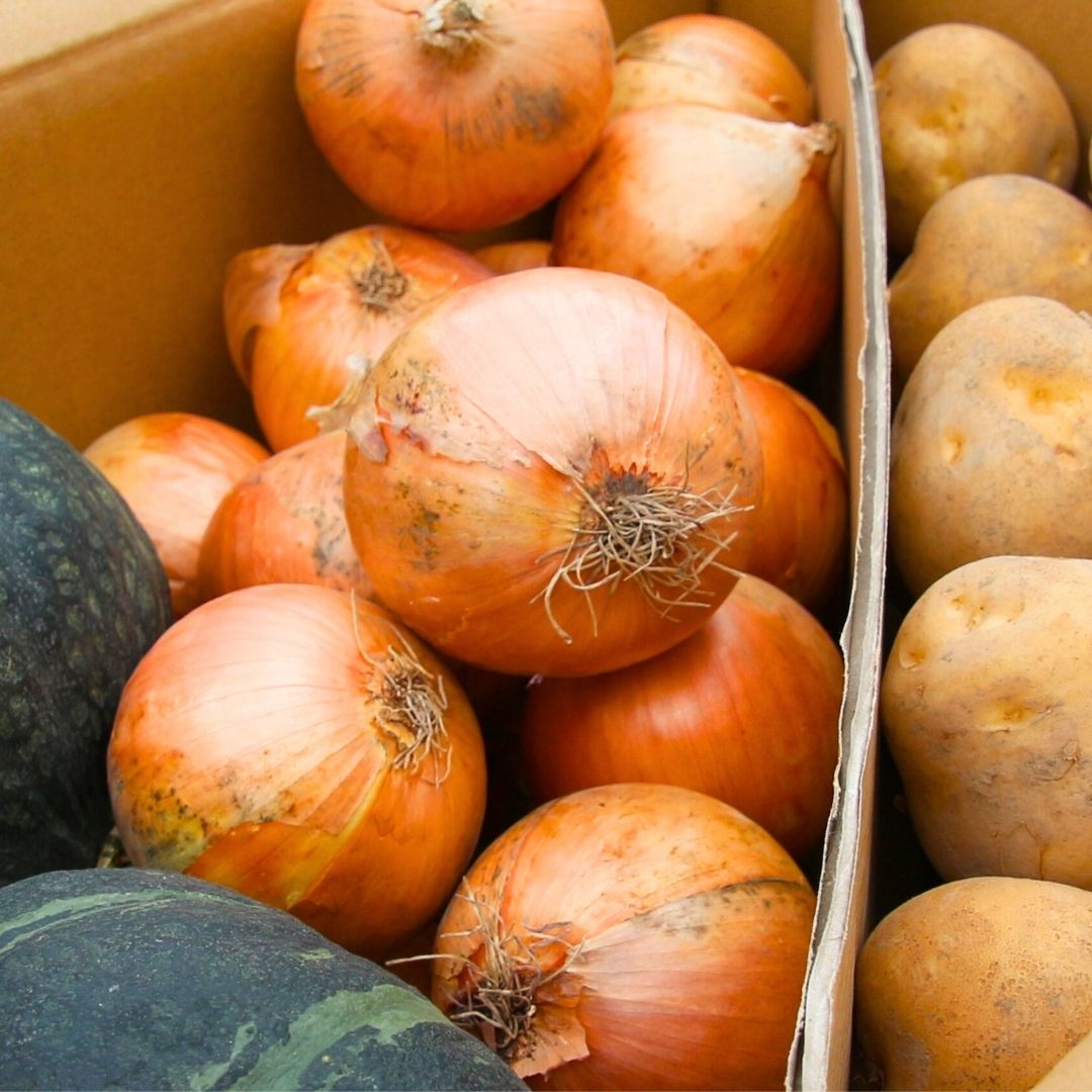 【ふるさと納税】≪令和8年産予約受付！≫美瑛 野菜 玉ねぎ じゃがいも かぼちゃ5kg 4kg セット 詰め合わせ 送料無料 野菜 北海道 北海道美瑛北海道美瑛町 美瑛町 美瑛 北海道産 2個 美景農園 [016-89] - 画像3