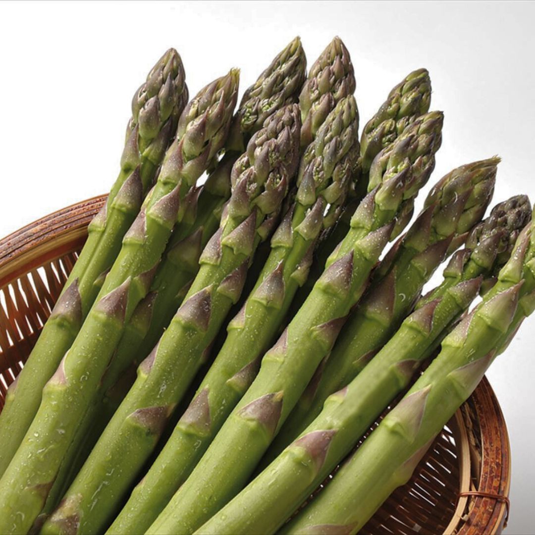 【ふるさと納税】【令和8年産予約受付！】グリーンアスパラ 1.2kg 1.6kg 野菜 送料無料 北海道 北海道美瑛 北海道美瑛町　美瑛 美瑛町 グリーンアスパラ グリーンアスパラガス アスパラ アスパラガス 美瑛産アスパラ 北海道産アスパラ 大雪山農園[013-89] - 画像2