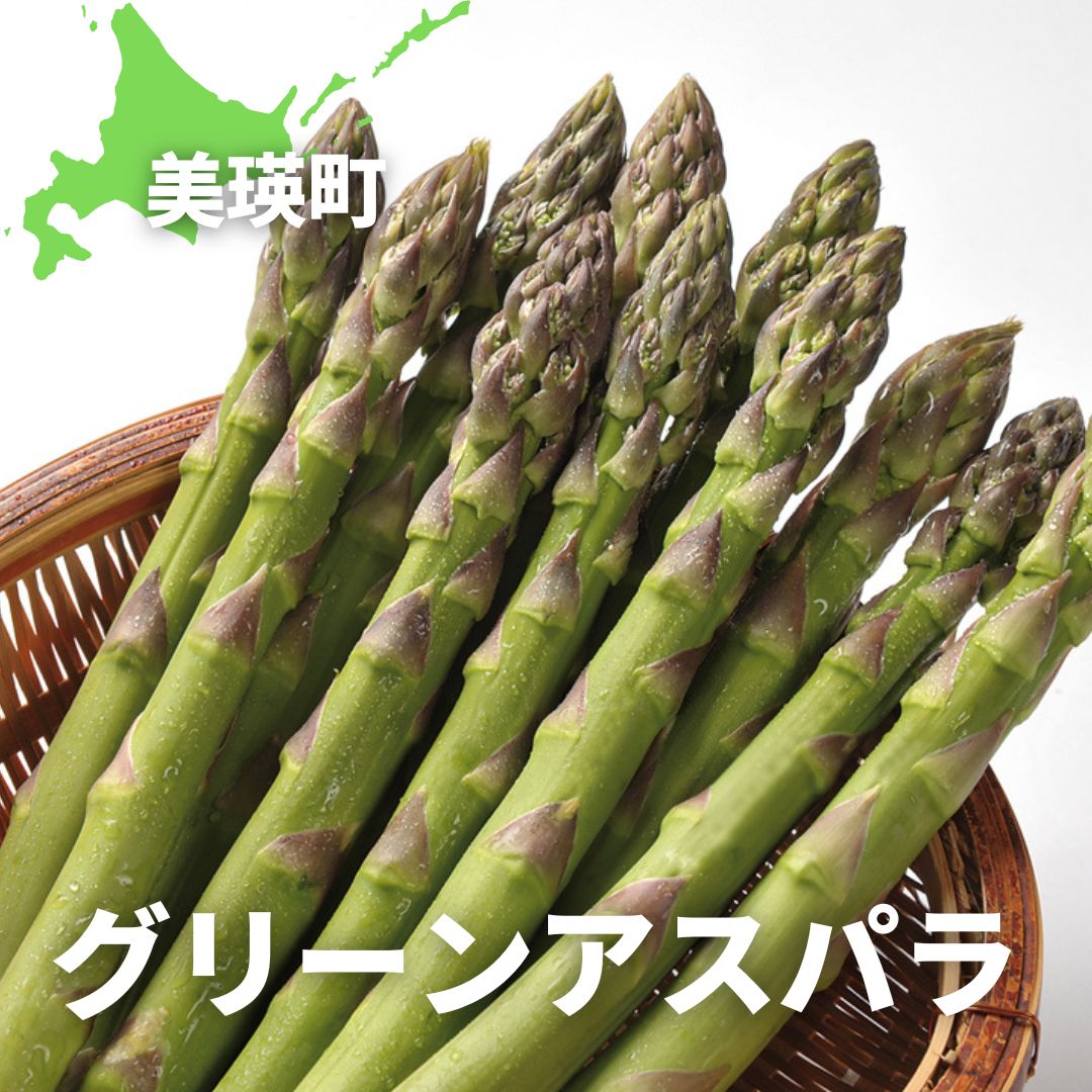 【令和8年産予約受付！】グリーンアスパラ 1.2kg 1.6kg 野菜 送料無料 北海道 北海道美瑛 北海道美瑛町　美瑛 美瑛町 グリーンアスパラ グリーンアスパラガス アスパラ アスパラガス 美瑛産アスパラ 北海道産アスパラ 大雪山農園[013-89]