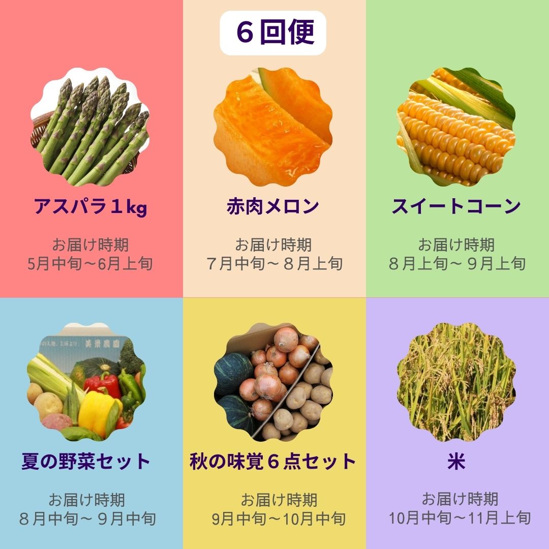 【ふるさと納税】【令和8年産予約受付！】野菜 定期便 詰め合せ セット 5ヶ月 6ヶ月 6回 半年 野菜 定期便 送料無料 アスパラ アスパラガス メロン 赤肉メロン 夏野菜 秋野菜 米 美瑛　北海道美瑛 北海道美瑛町 美瑛町 美瑛産 北海道産 北海道メロン 美景農園[085-03] - 画像3