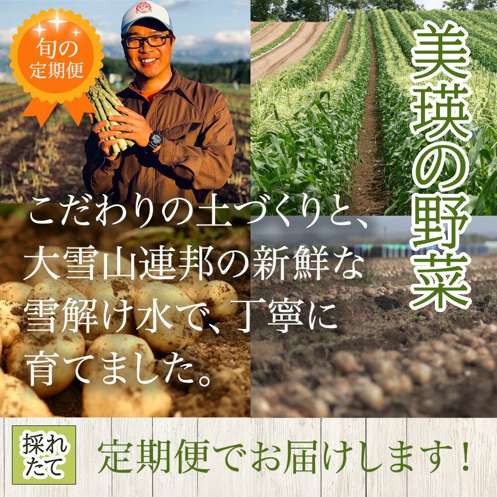 【ふるさと納税】【令和8年産予約受付！】～美瑛の四季～ 野菜 定期便 セット 詰め合わせ | アスパラ とうもろこし 食べ比べ 送料無料 セット 玉ねぎ 人気 おすすめ ランキング いも 芋 イモ じゃがいも ジャガイモ 野菜 - 画像2