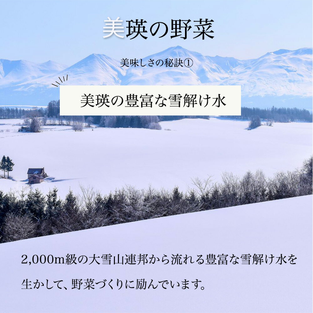 【ふるさと納税】【令和8年産予約受付！】～美瑛の四季～ 野菜 定期便 セット 詰め合わせ | アスパラ とうもろこし 食べ比べ 送料無料 セット 玉ねぎ 人気 おすすめ ランキング いも 芋 イモ じゃがいも ジャガイモ 野菜 - 画像3