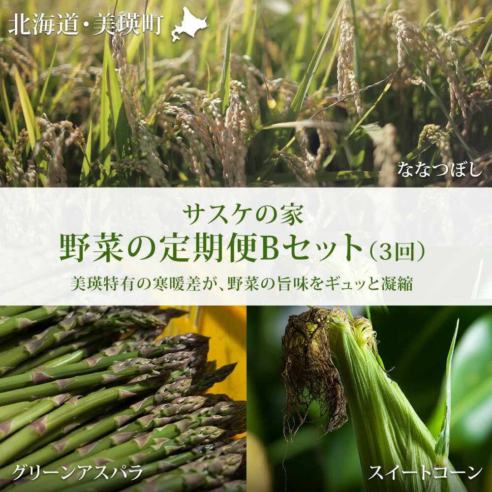 野菜 定期便 Bセット 3ヶ月 ≪令和8年産予約受付！≫ 送料無料 セット 詰め合わせ アスパラ アスパラガス とうもろこし とうきび スイートコーン ななつぼし 3回 米 新米 北海道 北海道美瑛 美瑛町 美瑛産野菜 野菜の定期便 サスケの家 定期便[041-11]