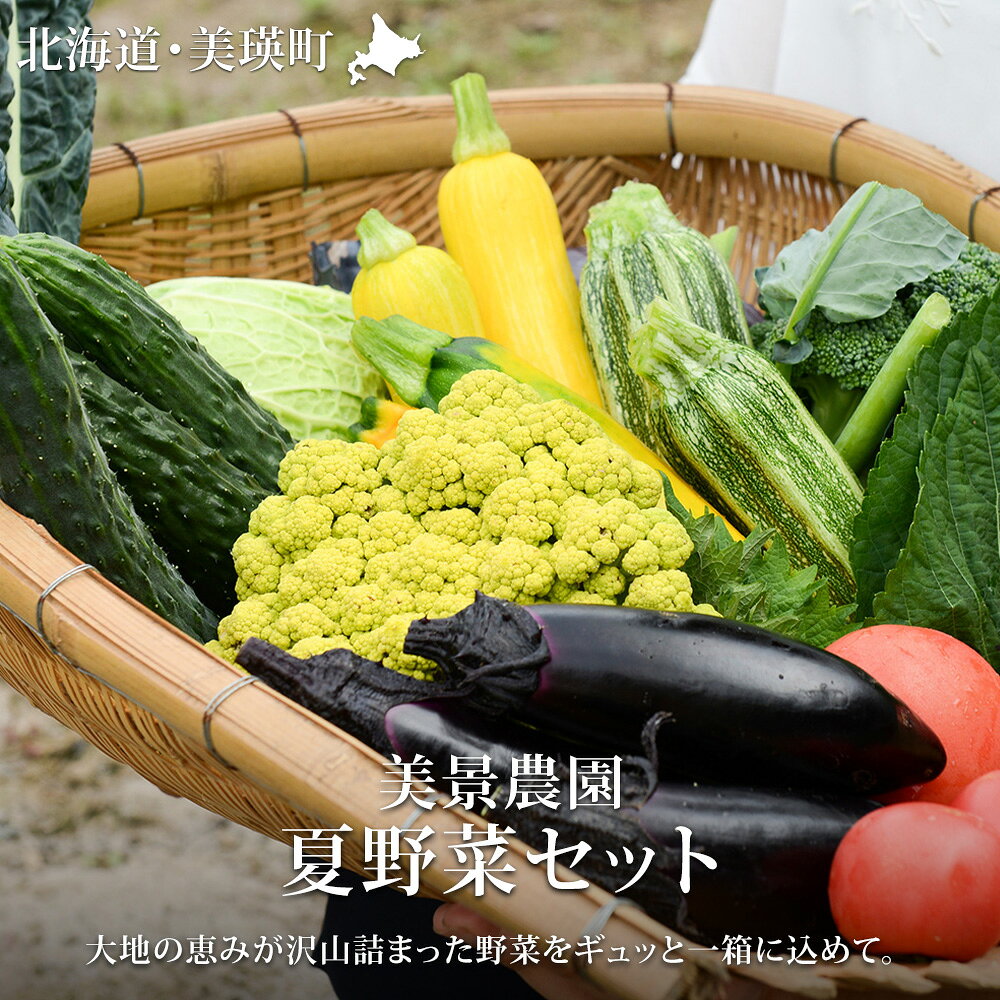 ≪令和8年産予約受付！≫夏 野菜 セット 詰め合わせ 美瑛 北海道 北海道美瑛　北海道美瑛町 美瑛町 美瑛 北海道産 美瑛産 トマト パプリカ にんじん スイートコーン とうもろこし とうきび 野菜 送料無料 美景農園[019-70]