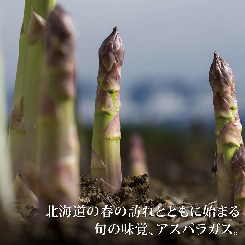 【ふるさと納税】グリーンアスパラ1kg 2kg【令和8年産先行予約】送料無料！M〜2Lサイズ 美瑛選果 グリーン アスパラガス アスパラ あすぱら あすぱらがす 採れたて 新鮮 旬 産地直送 野菜[010-202] - 画像2