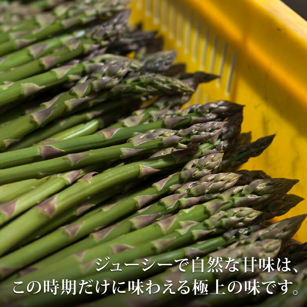 【ふるさと納税】グリーンアスパラ1kg 2kg【令和8年産先行予約】送料無料！M〜2Lサイズ 美瑛選果 グリーン アスパラガス アスパラ あすぱら あすぱらがす 採れたて 新鮮 旬 産地直送 野菜[010-202] - 画像3
