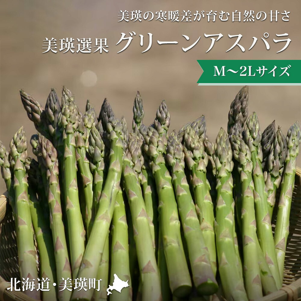 グリーンアスパラ1kg 2kg【令和8年産先行予約】送料無料！M〜2Lサイズ 美瑛選果 グリーン アスパラガス アスパラ あすぱら あすぱらがす 採れたて 新鮮 旬 産地直送 野菜[010-202]