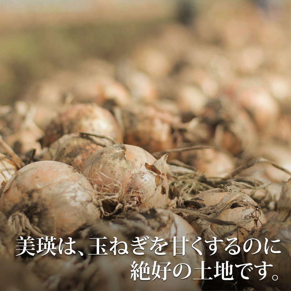 【ふるさと納税】 じゃがいも 玉ねぎ セット 10kg 男爵 ≪令和8年産≫ 美瑛選果 美瑛産 | 人気 おすすめ ランキング 玉ねぎ たまねぎ タマネギ 玉葱 いも 芋 イモ じゃがいも ジャガイモ 男爵イモ 男爵いも 男爵芋 野菜[012-190] - 画像3