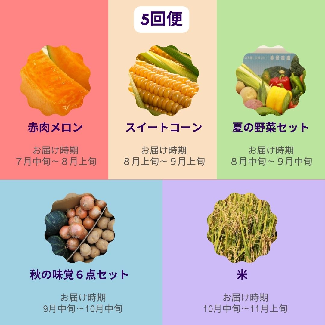 【ふるさと納税】【令和8年産予約受付！】野菜 定期便 詰め合せ セット 5ヶ月 6ヶ月 6回 半年 野菜 定期便 送料無料 アスパラ アスパラガス メロン 赤肉メロン 夏野菜 秋野菜 米 美瑛　北海道美瑛 北海道美瑛町 美瑛町 美瑛産 北海道産 北海道メロン 美景農園[085-03] - 画像2