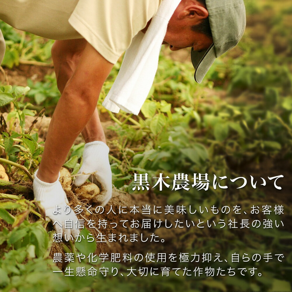 【ふるさと納税】【令和8年産予約受付！】じゃがいも 3種セット 9kg 詰め合わせ 送料無料 | 男爵 メークイン キタアカリ 食べ比べ 野菜 北海道 北海道美瑛 北海道美瑛町 美瑛町 美瑛 野菜 美瑛産 北海道産 黒木農場　[011-61] - 画像3