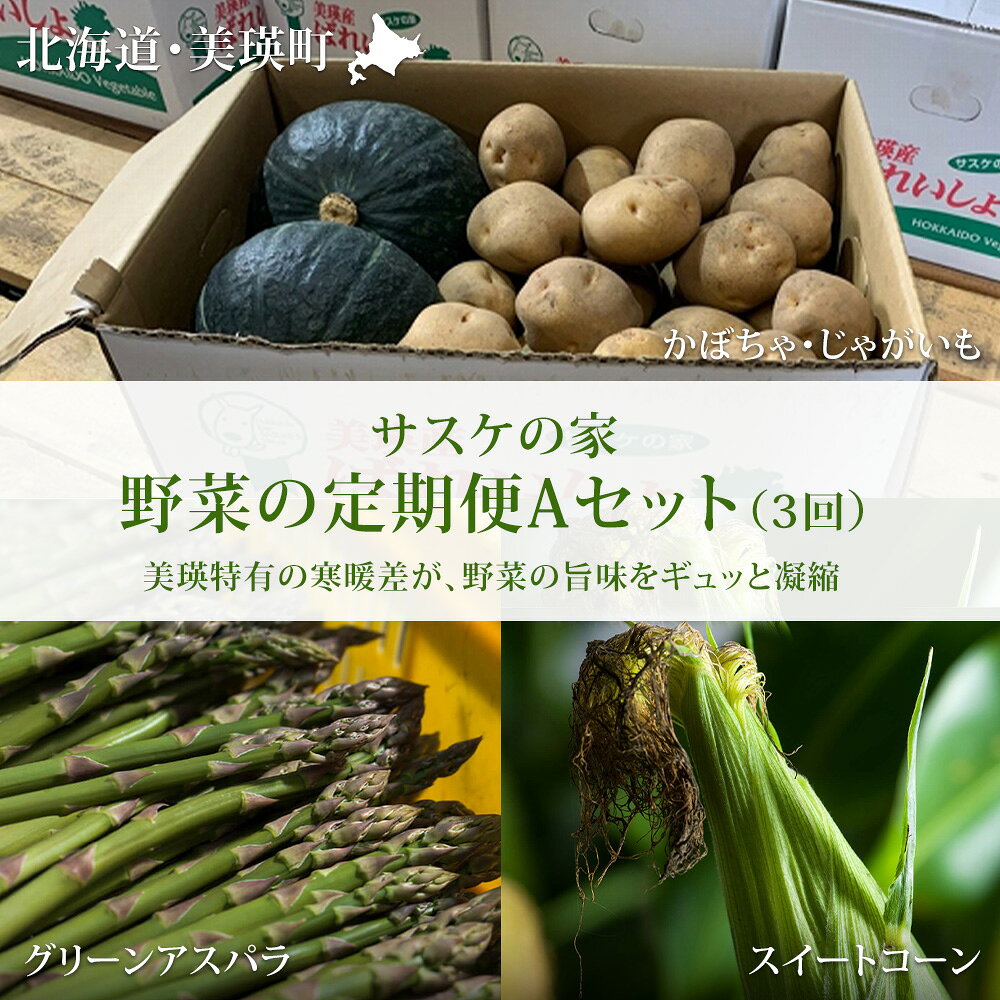 野菜 定期便 Aセット 3ヶ月 ≪令和8年産予約受付！≫ 送料無料 セット 詰め合わせ アスパラ アスパラガス とうもろこし とうきび スイートコーン 3回 秋野菜 北海道 北海道美瑛 美瑛町 美瑛産野菜 北海道産野菜 野菜の定期便 サスケの家[033-22]